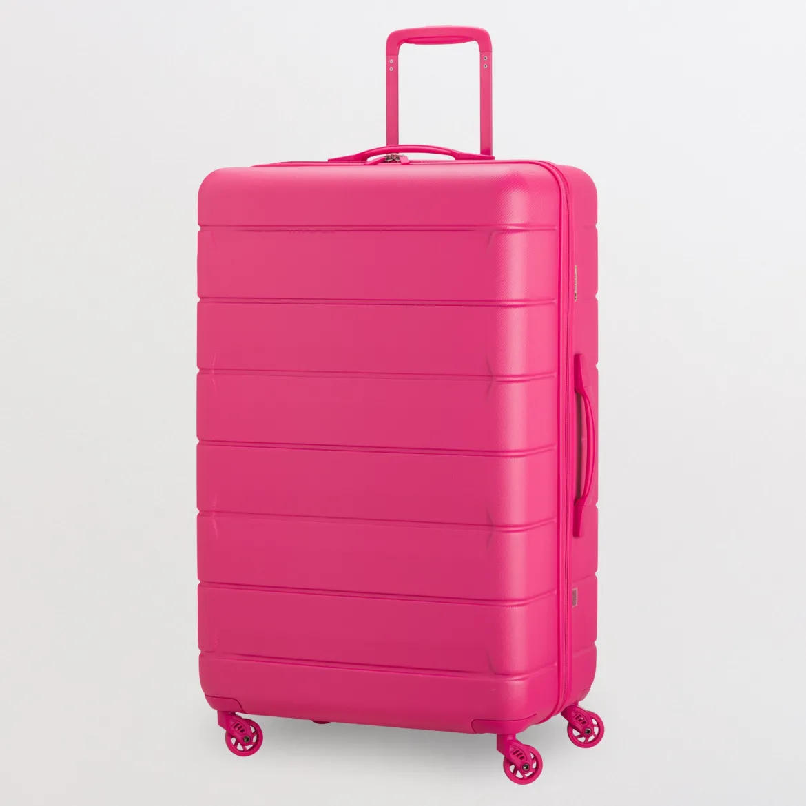 Trolley L - Rigido - Cloud go