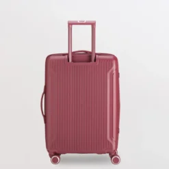 Trolley M - Rigido - Flexitech
